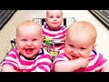 🔴 [LIVE] 30 minutes Funniest and Cutest Twin, Triplet Babies - Cool Peachy