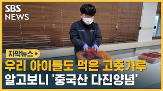 우리 아이들도 먹은 고춧가루…알고보니 '중국산 다진양념' (자막뉴스) / SBS