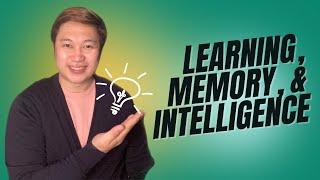 LEARNING, MEMORY, AND INTELLIGENCE | PSYCHOLOGY  @FromJom