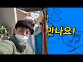 아이소파 2인3각 유아체육 전주영어체육 전주slp어학원 체육수업