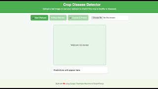 🚀 “Google Teachable Machine Project | Crop Health Detection