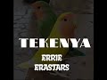 tekenya