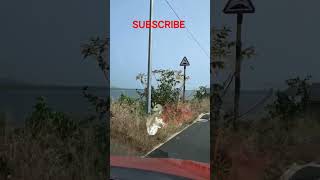 Panjim Sea Side Road