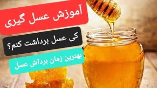 چگونه عسل گیری کنم؟کی بهترین  زمان برداشت عسل هست؟