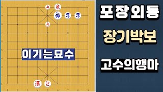 절묘한 방법으로 이기는묘수 - 장기박보