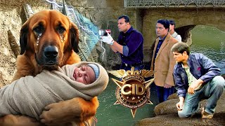 जब Investigation Team के सामने Insaani Bache को पालने वाला आया जंगली कुत्ता | Best Of CID 2025