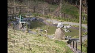 京都の寺院　常照寺