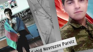 Şəhid Novruzov Pərviz