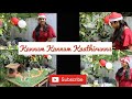 Kannum Kannum Kaathirunnu|Christmas Dance Cover| Happy Christmas | #dance #christmas #cover #cribs