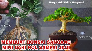 Proses membuat bonsai sancang dari NOL sampai JADI ❗Karya Adeithink Heryandi