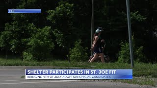 Community invited to meet adoptable dogs during St. Joe FIT walk