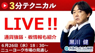 見通しズバリ！3分テクニカル分析「ライブ‼」 ニューヨーク市場の見通し　2024年6月26日