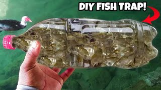DIY PLASTIC Bottle FISH TRAP!