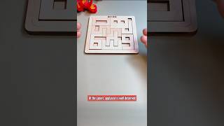 Cracking the Wooden Frame Puzzle 1-10: Can You Solve It Too?🤨#woodworking #youtubeshorts #diy