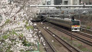 2023年３月２７日（月）今日の中央総武線 E231系500番台（A525編成鉄道開業150周年記念ヘッドマーク）1177B 各駅停車 中野行【桜・なのはな】