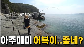 배 타고 5분거리 내만권 벵에돔 낚시, 거제도 지세포 옥림 촛대바위 ep.23 fishing