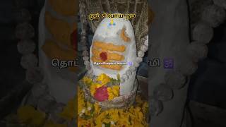 உண்மையான சிவபக்தி 🙏 #subscribeplease #சிவாய_நம #தொப்பேஷ்வரசுவாமி #shortvideo #ஓம்நமசிவாய #சிவன்