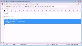 Beginner PHP Tutorial - 25 - do while Loop