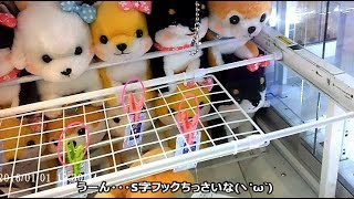 【UFOキャッチャー】豆しば三兄弟ぬいぐるみ～なでしこ～ さくら