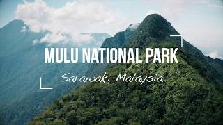 Mulu National Park | Mulu Caves | Mulu Pinnacles | 2019