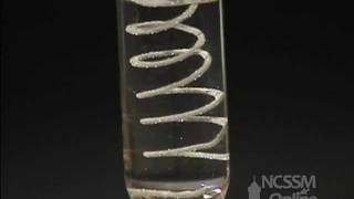 Single Displacement AgNO3 and Cu