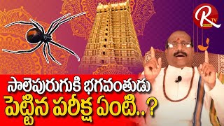 సాలెపురుగుకి భగవంతుడు పెట్టిన పరీక్ష ఏంటి..? | What is the Test That God Gave to the Spider ..?