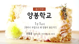 [시흥아카데미] 양봉학교 1강1교시 「취미나 부업으로 왜 양봉이 좋은가?」 - 조상균(학교장, 前 한국양봉농협 조합장)