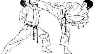 Shotokan Karate - Basics 01