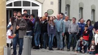 2016 05 01 Der Maibaum in Möhren mit musik