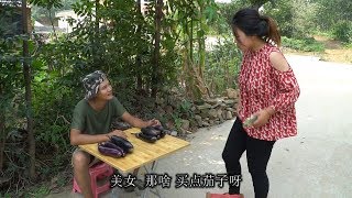 光棍卖茄子，寡妇一连三天来买，光棍智商太逗了，真是人才啊【百花娱乐】