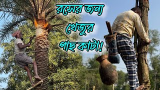 কোন এক শীতের সকালে রসের জন্য খেজুর গাছ কাটা| খেজুর গাছ কেটে রস আহরণ|Date juice|Canvas of Traditions