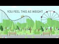 Here's why you feel that sinking feeling on roller coasters