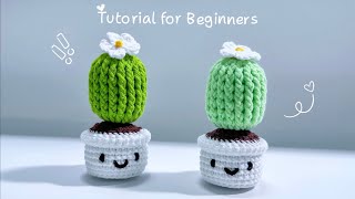 Make a Cute CROCHET CACTUS 🌵 for Beginners