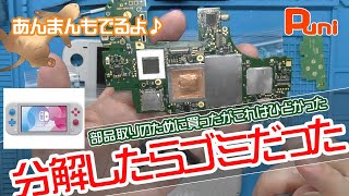 【ジャンク】SwitchLiteのジャンクを買って分解したらゴミ同然だった！素人分解品は買うな！あんまんぐっすり！【激安・ジャンク・詐欺・分解履歴あり・フェレット】