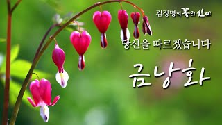 [야생화 이야기 2회] 당신을 따르겠습니다 - 금낭화