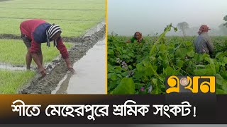 ঘন কুয়াশা ও নিম্নমুখী তাপমাত্রায় বোরো বীজতলা নিয়ে চিন্তিত চাষী | Meherpur News | Winter Season