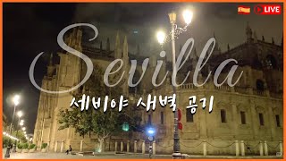 [313-1]🇪🇸스페인 세비야 대성당 새벽 풍경