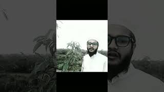 আল্লাহর প্রতি আপনাকে সাফল্যের পথ দেখাবে #reels #islamic #shortvideo