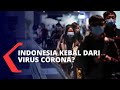 Indonesia Kebal Infeksi Virus Corona?