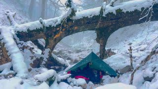 Will You SURVIVE a Heavy Snowstorm Under a Tree?