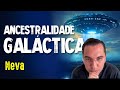 O Surpreendente Segredo Sobre Sementes das Estrelas - NEVA