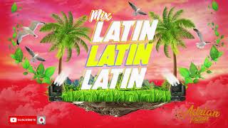 Mix Latin Pop Clasicos Pachanguero (Bacilos, Mana, Elvis Crespo, Juan Luis Guerra, Natusha, Ketchup)