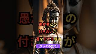 【ブッダの教え・愚か者との付き合いが運を下げる理由】💚 #ブッダ #仏教 #ブッダの教え#ブッダの言葉  #shorts