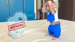 Monkey Cubis Screams When He Can't Find His Teddy Bear! 😭