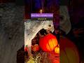 Harry Potter: A Forbidden Forest Experience in Vancouver - Vancouver Page
