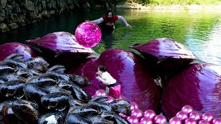 😱🎁The giant purple clams in the river are indeed pregnant with charming purple pearls, so beautiful