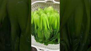 ឆាស្ពៃតឿប្រេងខ្យង Fried Dwarf Cabbage oyster oil