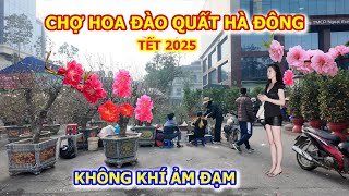 KHÔNG KHÍ ẢM ĐẠM CHỢ HOA ĐÀO QUẤT TẾT 2025 HÀ ĐÔNG