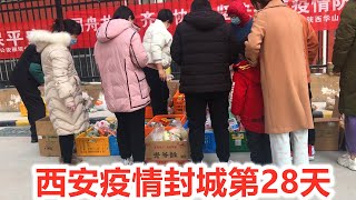 西安疫情封城第28天，我们小区由中风险区调整为低风险区，但是暂时还是拿不到出入通行证，也就出不了小区，买菜难，线上抢菜也难，昨晚就抢到一根300克的莲菜