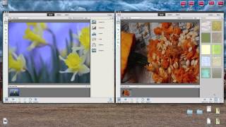 Photoshop Elements 12 First Look Compare To 11